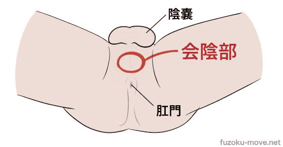 ED改善マッサージのやり方