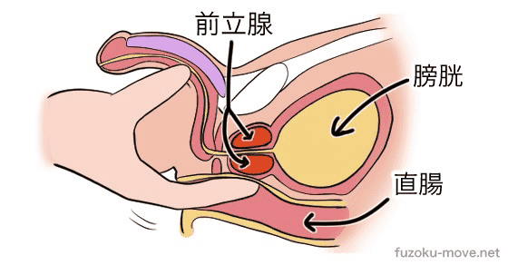 前立腺 電マ