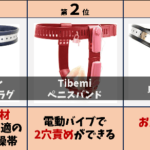 ディルド 貞操帯