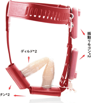 貞操帯 ディルド