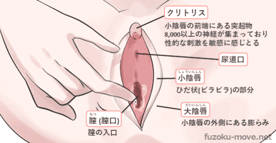 クリトリス 感じる