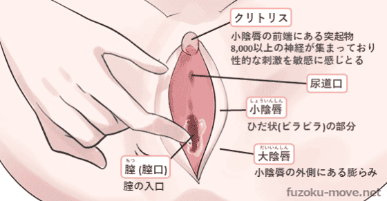 クリトリス 快感