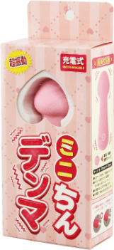 電マ 入れる