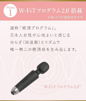 電マ 調教