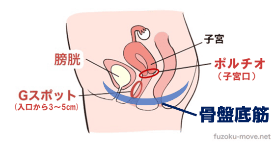 ヒクヒク オーガズム