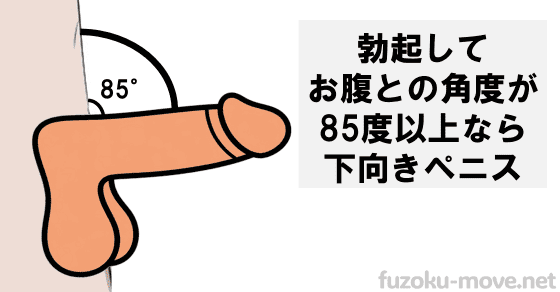 下向きチンコ