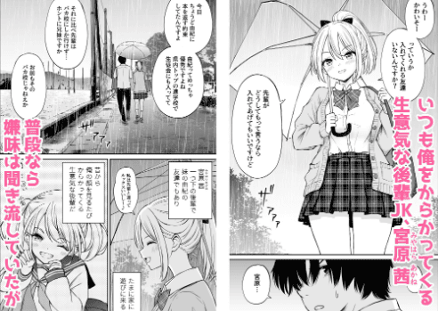 【わからせ】生意気ヒロインが敗北するエロ同人漫画おすすめBEST10【快楽堕ち】