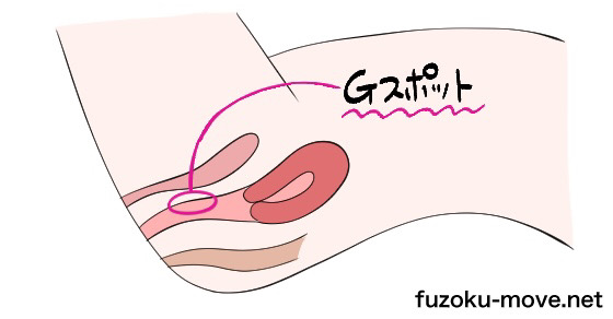 騎乗位で潮吹きさせる「反り返り騎乗位」のやり方｜ペニスでGスポットを確実に捉える！