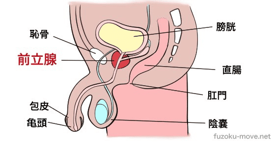 射精後に手を止めずに亀頭を責めるやり方