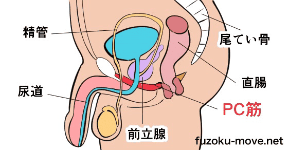 射精 限界