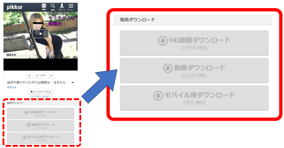 カリビアンコム ダウンロード