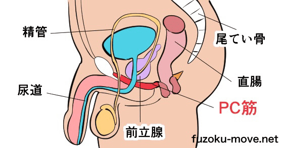 射精 飛ばない