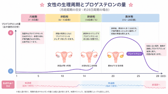 おっぱい 感度