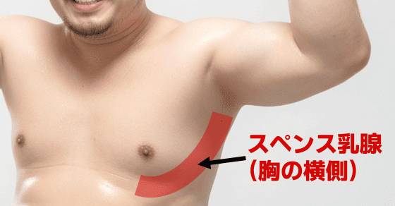 男 スペンス乳腺